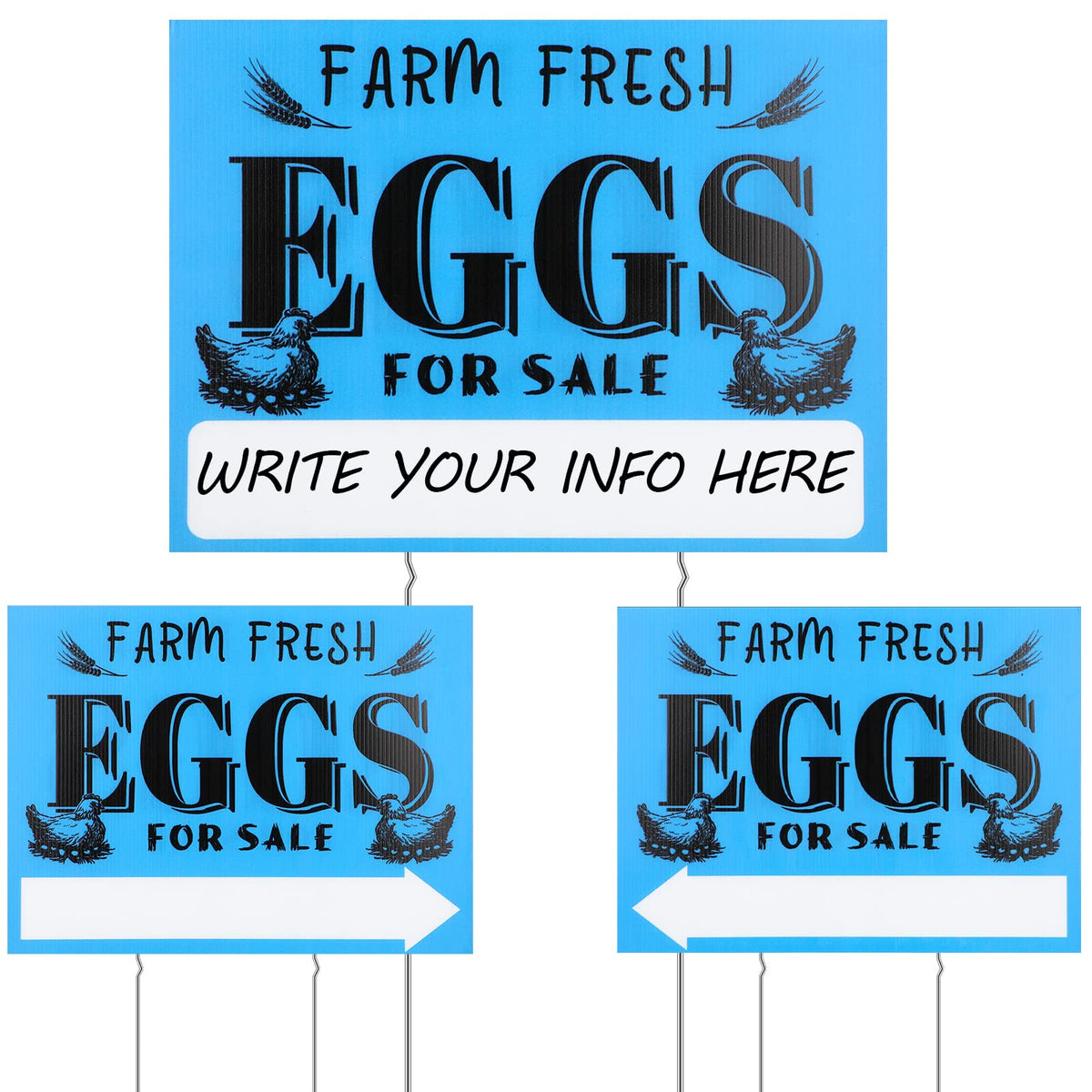 Yaomiao farm fresh eggs sign blue background attracts customers outdoors.