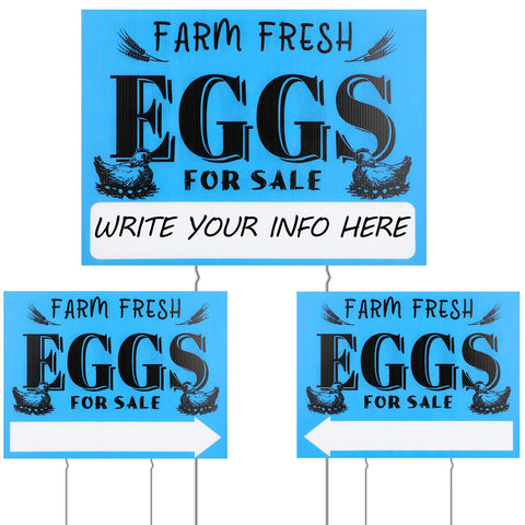 Yaomiao farm fresh eggs sign blue background attracts customers outdoors.