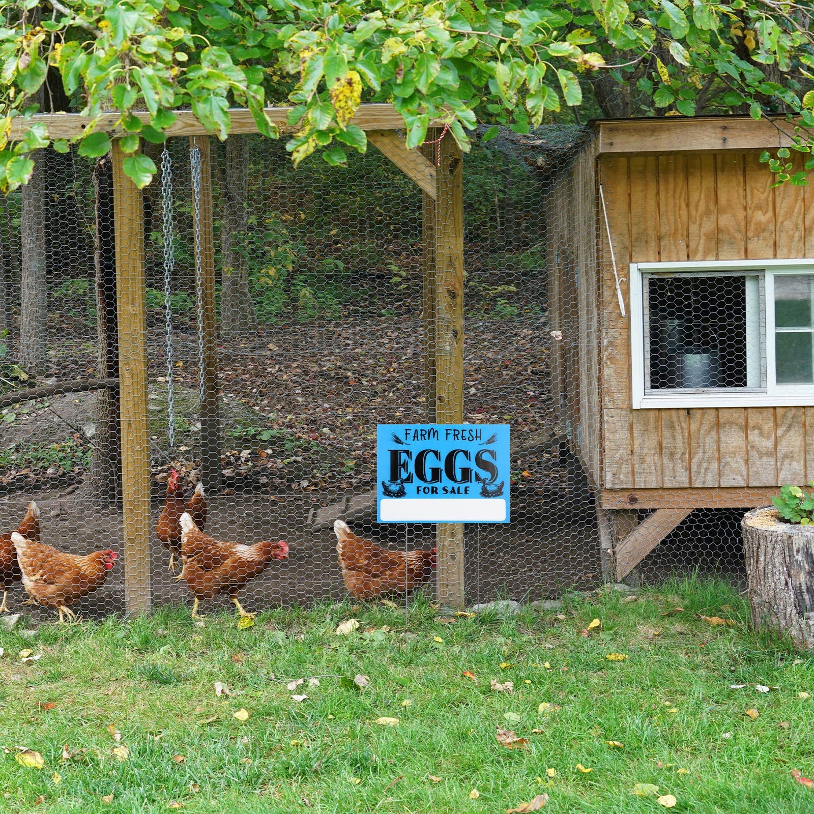 Yaomiao outdoor decor sign adds farmhouse charm to yard or garden.