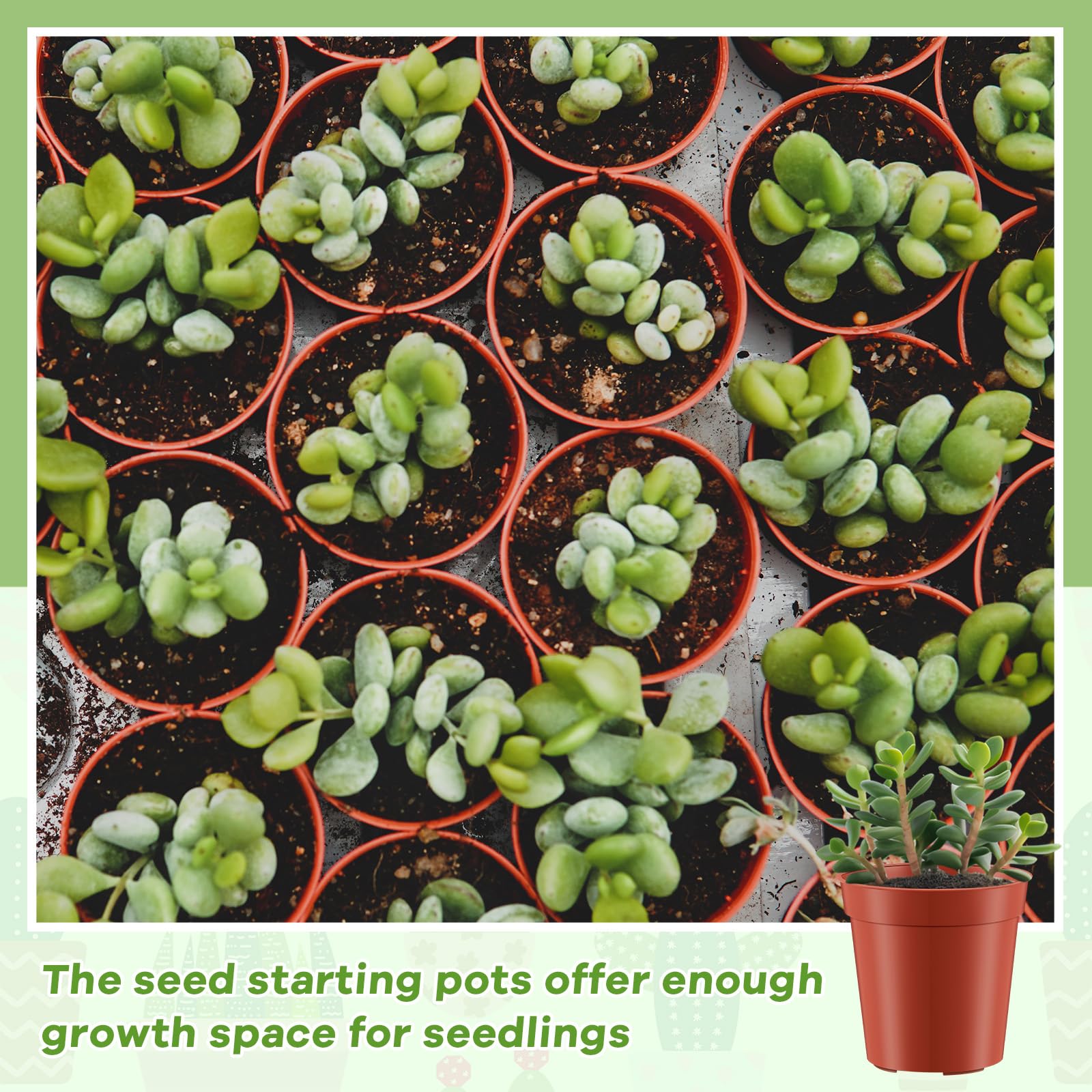 Yaomiao reusable plastic pots designed for long-term garden use.