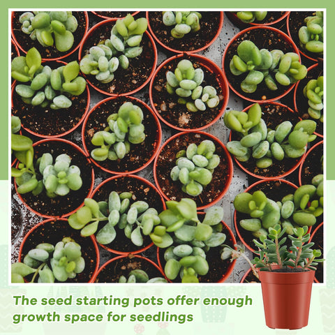 Yaomiao reusable plastic pots designed for long-term garden use.