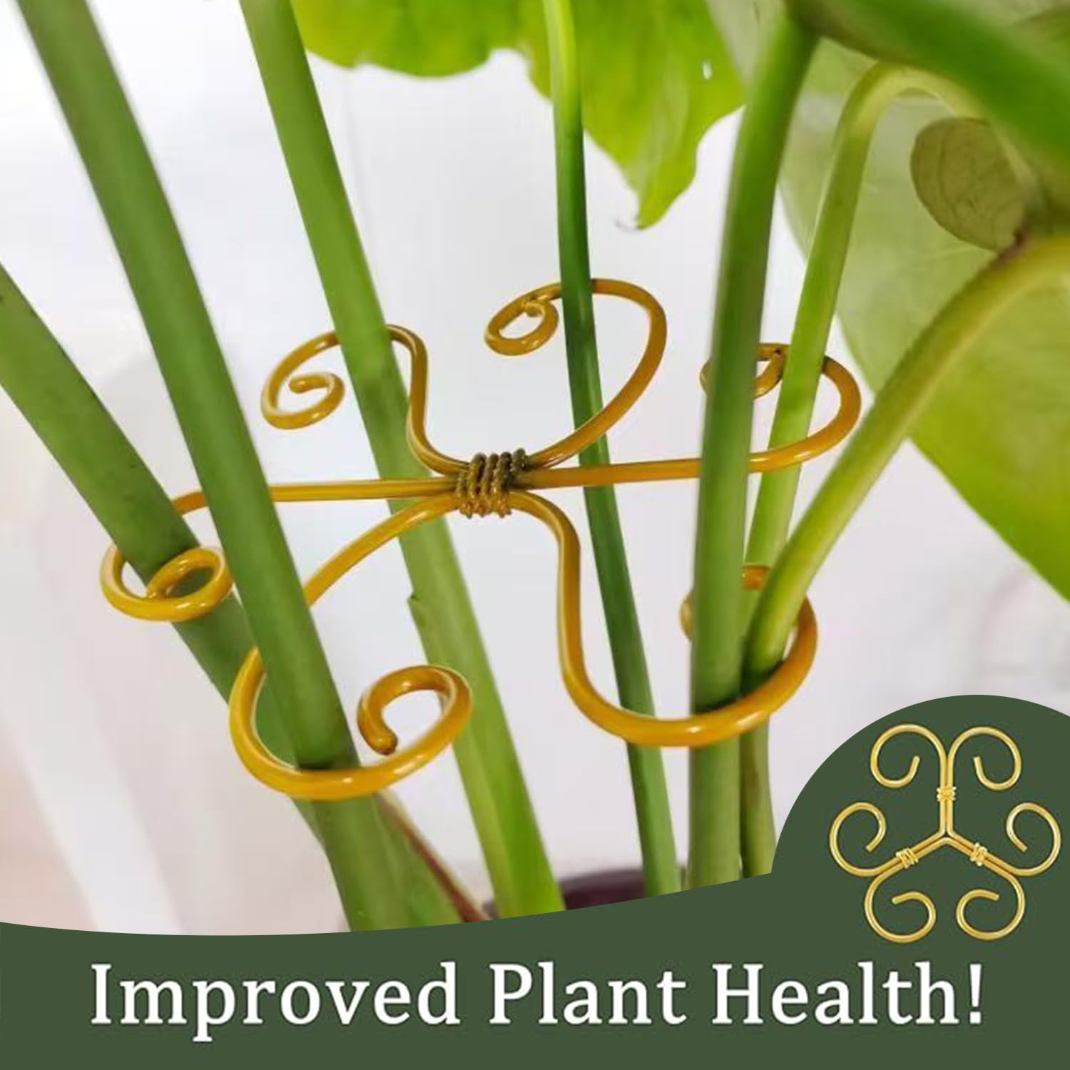 YAPPROMO monstera stem support preventing drooping while climbing.