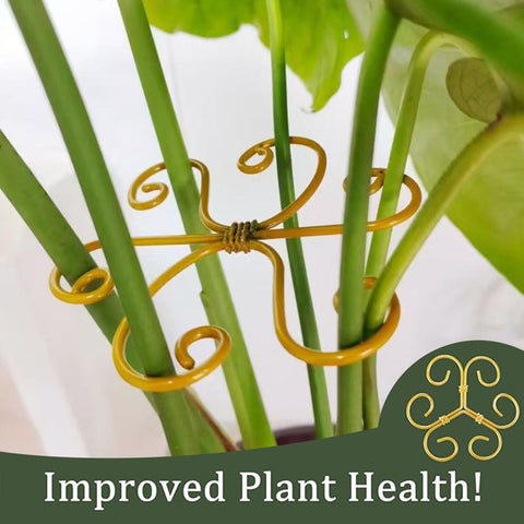 YAPPROMO monstera stem support preventing drooping while climbing.
