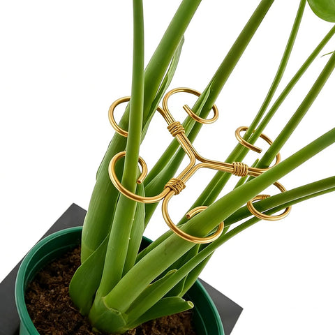 YAPPROMO iron monstera plant support stake stabilizing tall indoor plants.