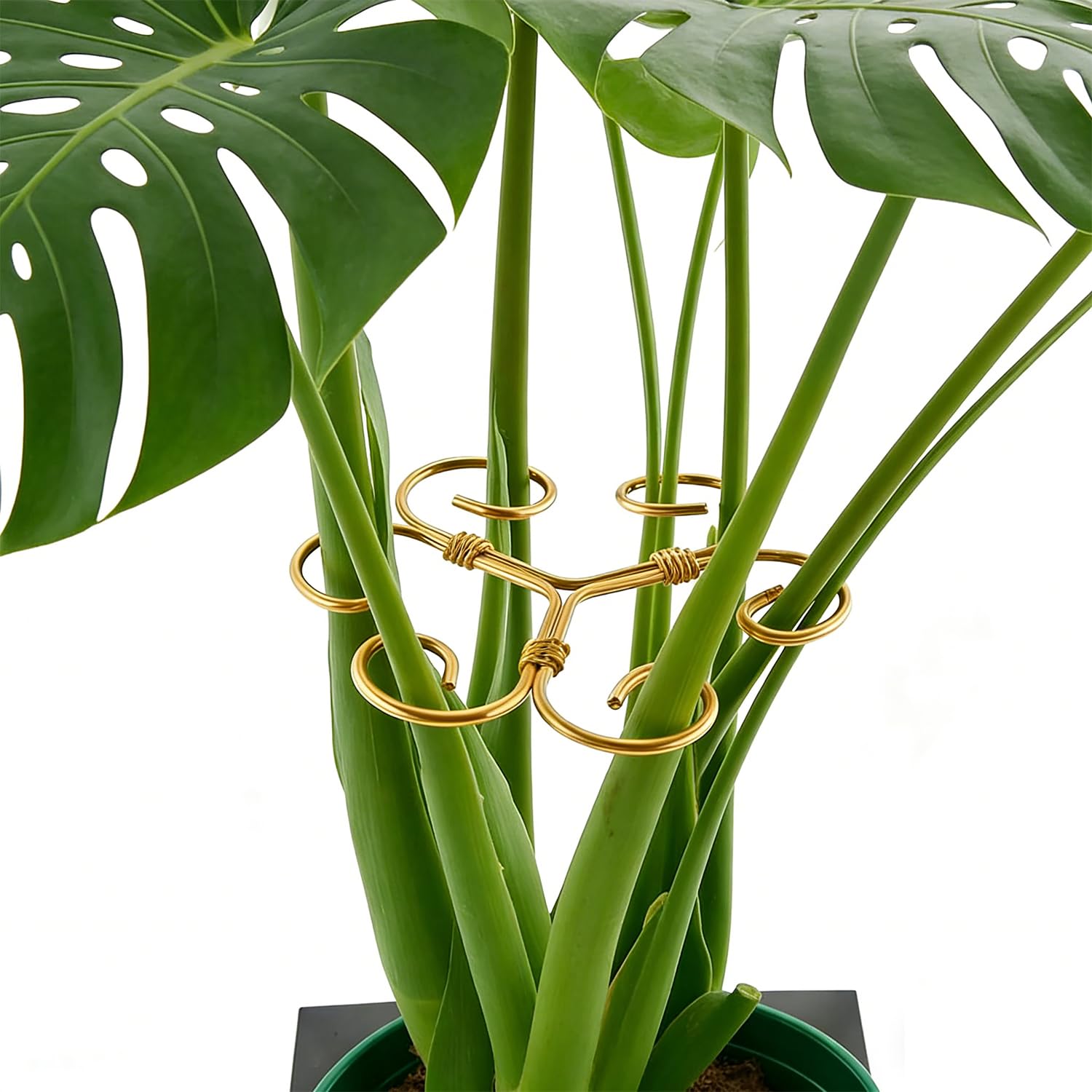 YAPPROMO rust-resistant powder-coated stake resists corrosion for long-term use.