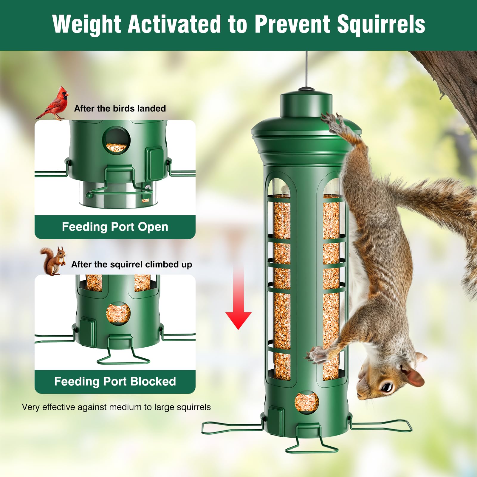 Yarbirder removable-base bird feeder; easy cleaning without tools.