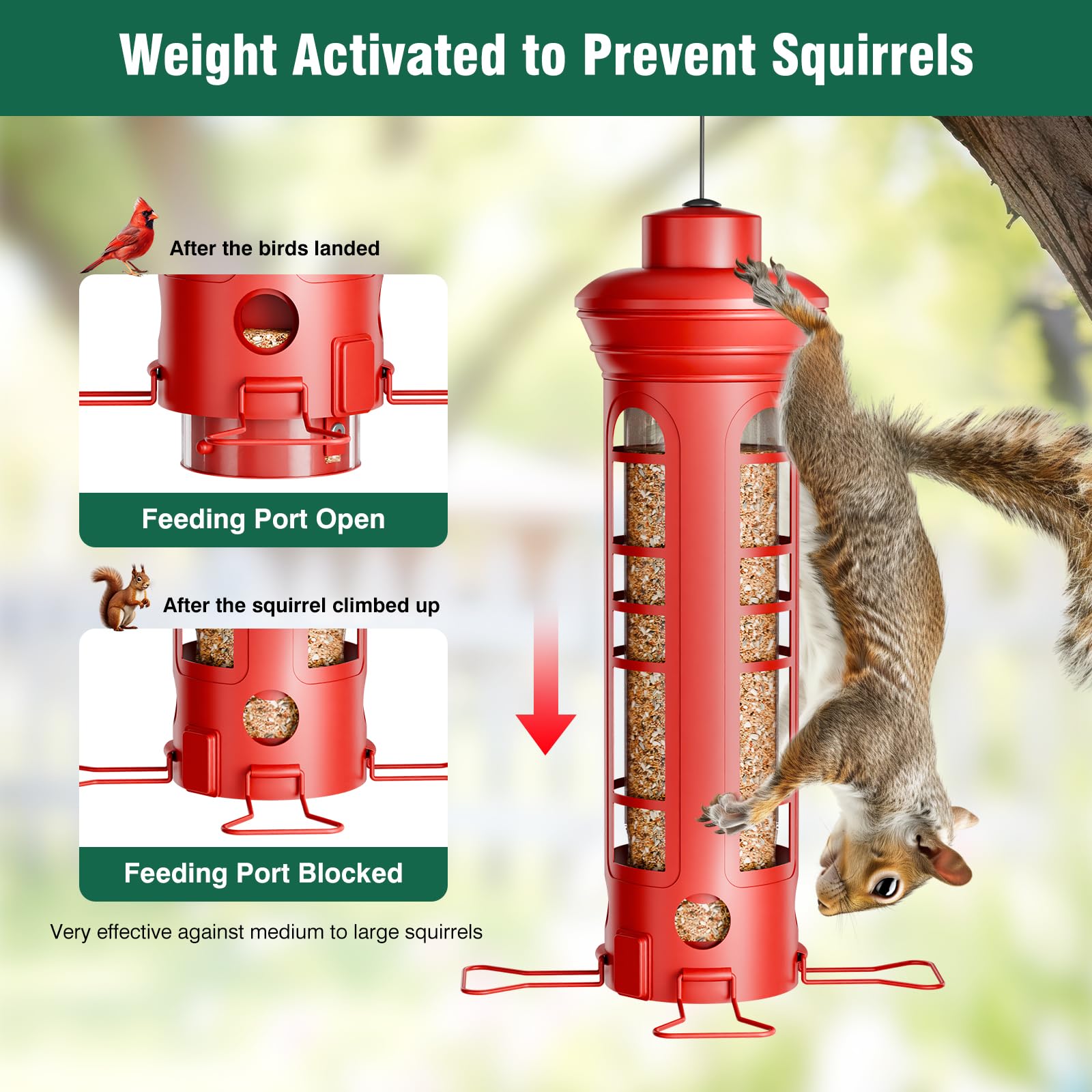 Yarbirder Squirrel-Proof Feeder side view shows weight-activated perches and durable design.