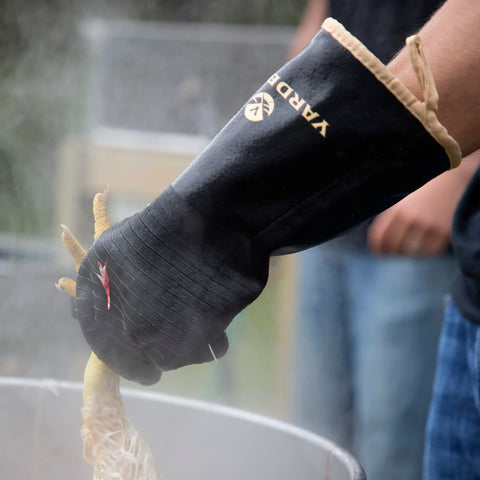 Yardbird Poultry Gloves extra-long cuffs shield forearms during scalding.