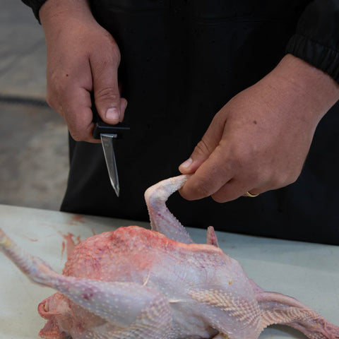 Yardbird ergonomic design promotes comfortable handling during long tasks.