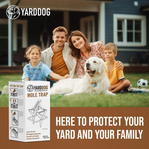 YARDDOG garden mole control tool in action.