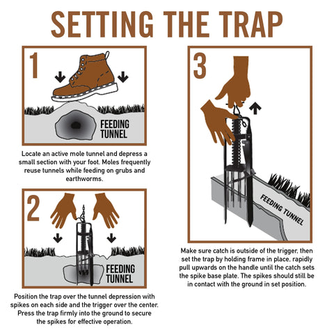 YARDDOG Easy-Setup Plunger Mole Trap simplifies placement for busy homeowners.