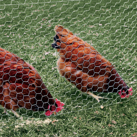 YARDGARD chicken coop fencing demonstrates secure poultry enclosure in outdoor spaces