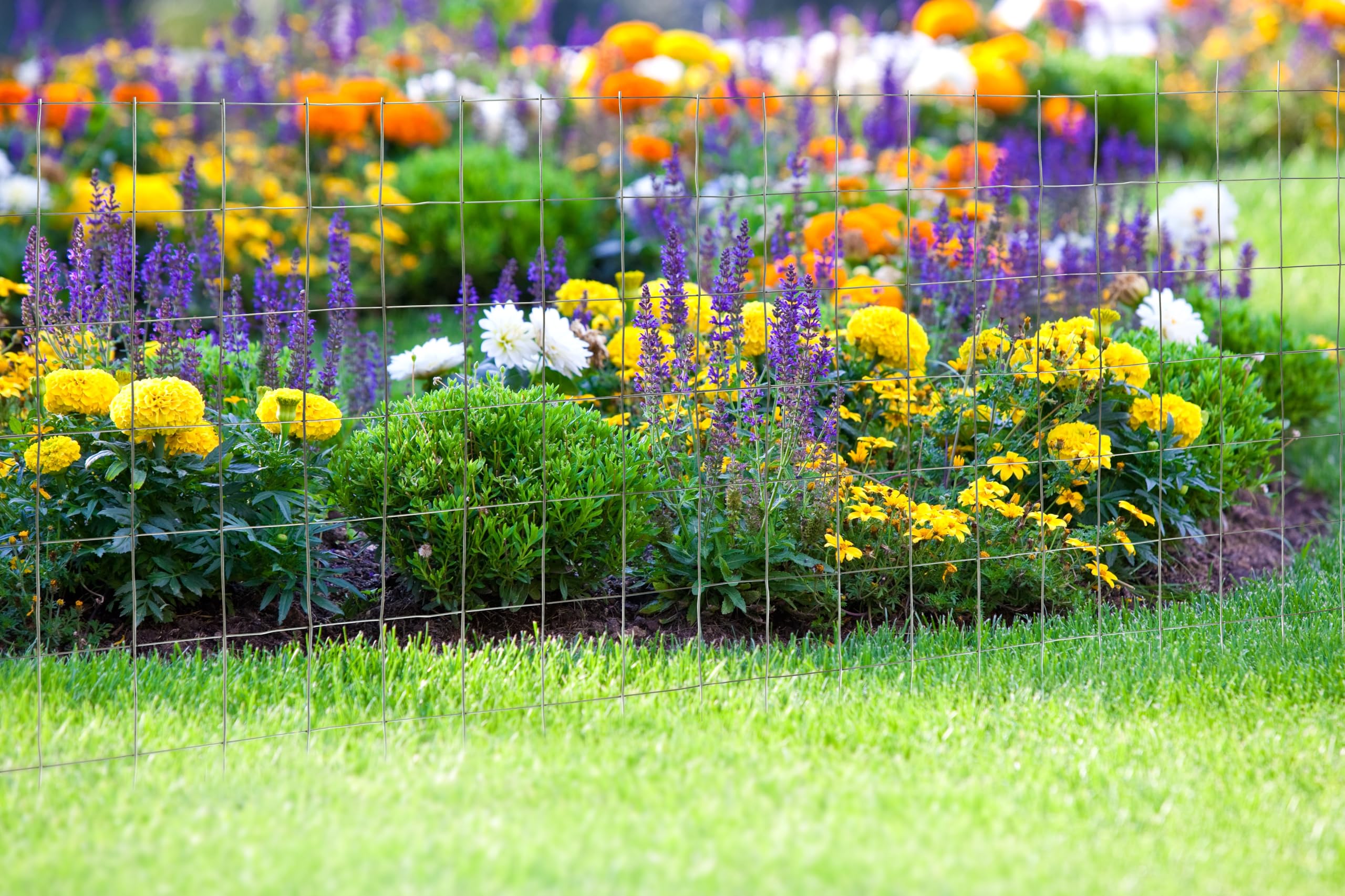 YARDGARD 2x4 mesh ideal for animal confinement and garden protection.