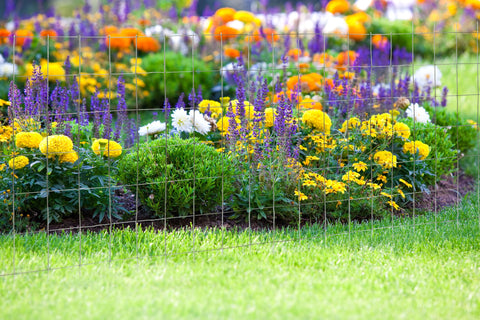 YARDGARD 2x4 mesh ideal for animal confinement and garden protection.