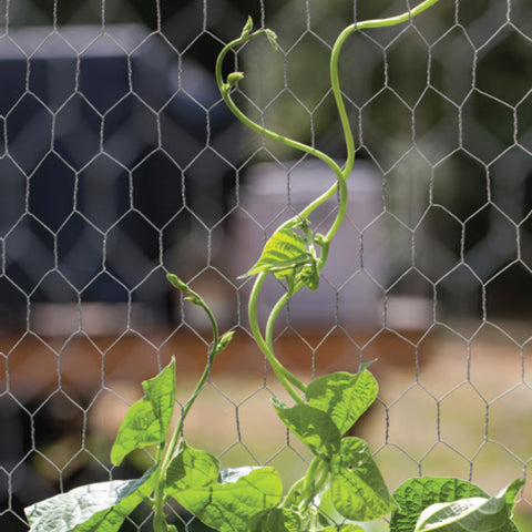 YARDGARD garden-border netting protects beds and supports plants from nibblers.