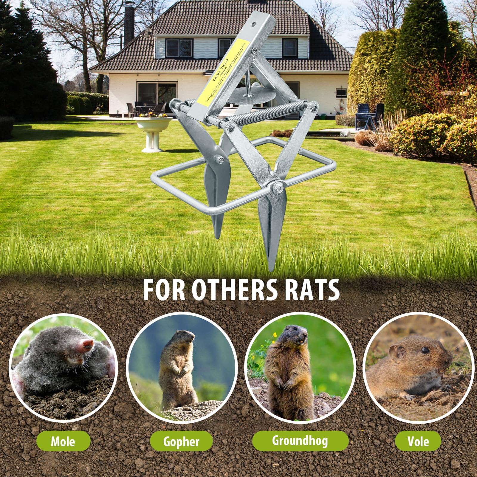 YardYield lawn in action shows active mole deterrence.