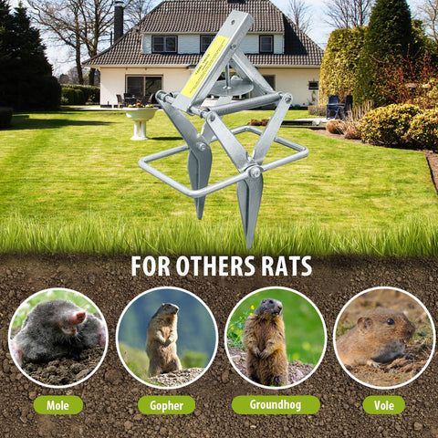 YardYield lawn in action shows active mole deterrence.