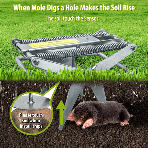 YardYield reusable system enables multiple seasons of mole control.
