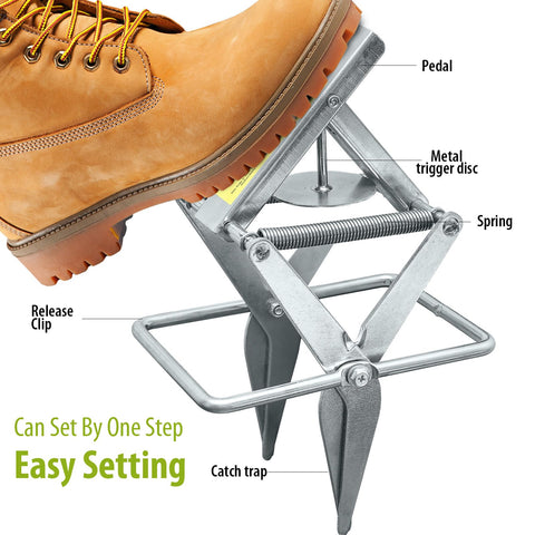 YardYield weather-resistant trap withstands rain and soil conditions.