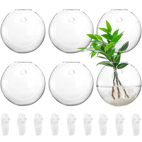 Yarlung 6-pack wall hanging terrarium globe for stylish indoor plant displays.