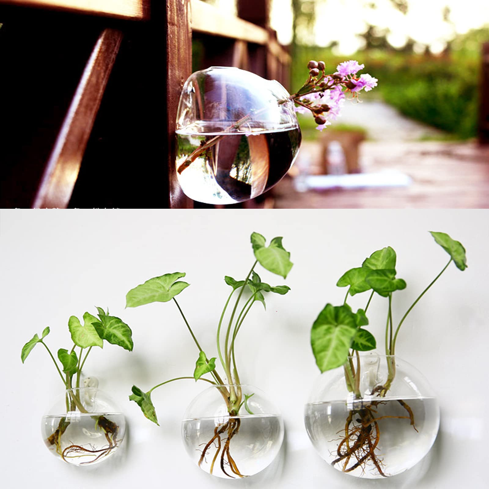 Yarlung indoor outdoor terrarium decor fits balconies, shelves, and cozy corners.
