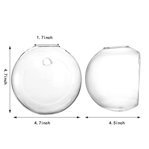 Yarlung oblate glass terrarium ball showcases modern greenery and clean lines.