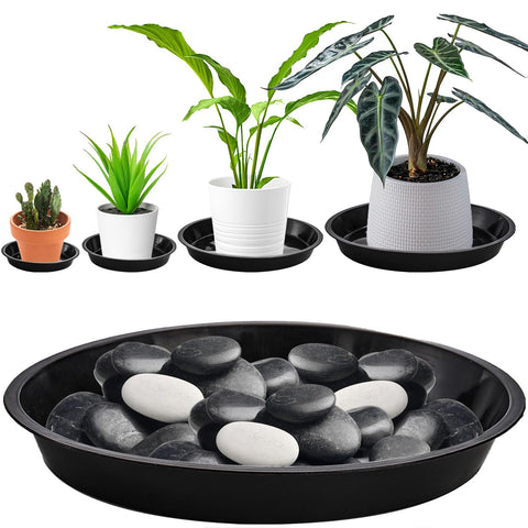 Yarlung 5.5-inch black plant saucer keeps small pots stable and moisture-controlled
