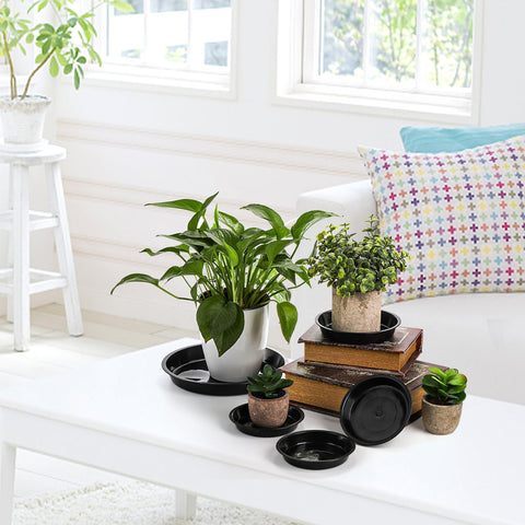 Yarlung decor-ready saucer doubles as a pebbled display tray