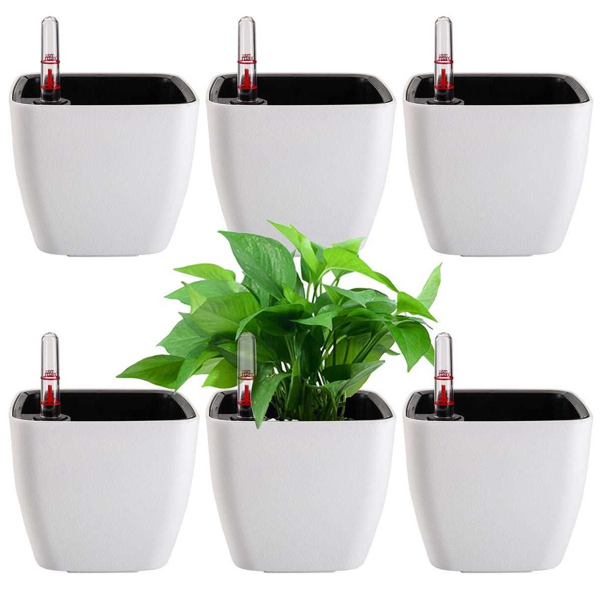 Yarlung 6-pack self-watering planters front view for easy indoor gardening