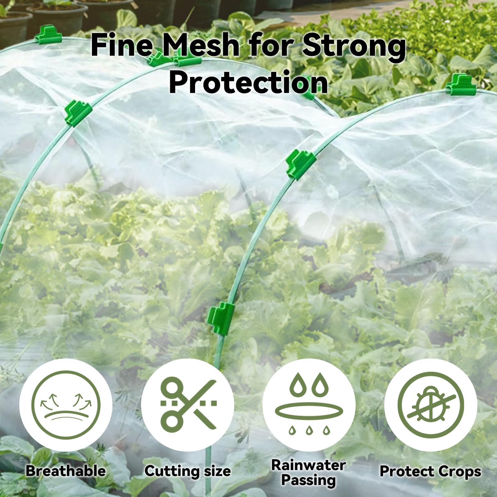 Netting covering cabbage and berries for pest deterrence in a garden bed