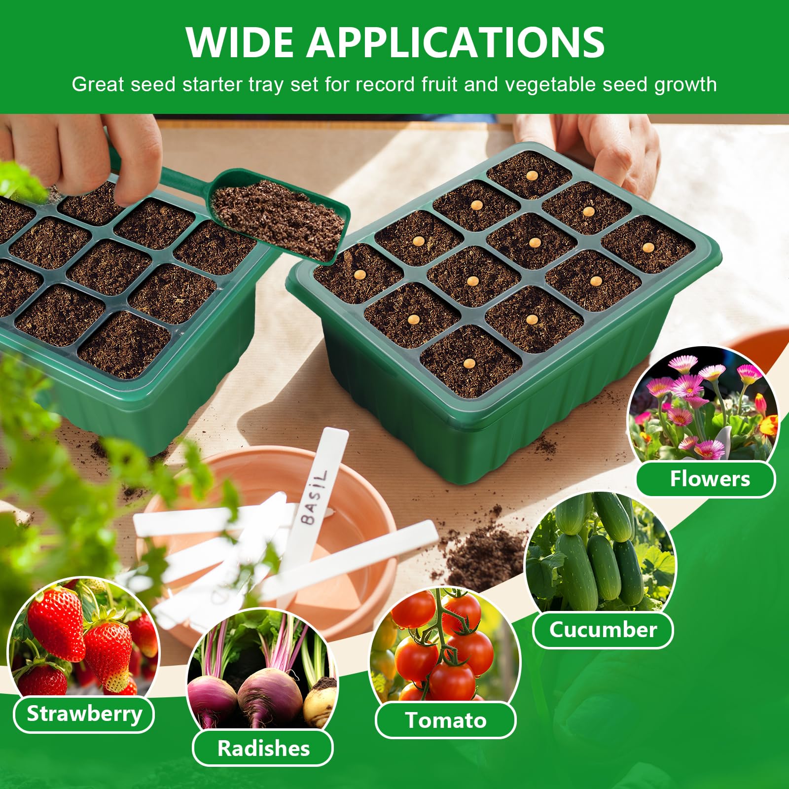 YAUNGEL 4in heightened dome provides extra space for thriving seedlings.