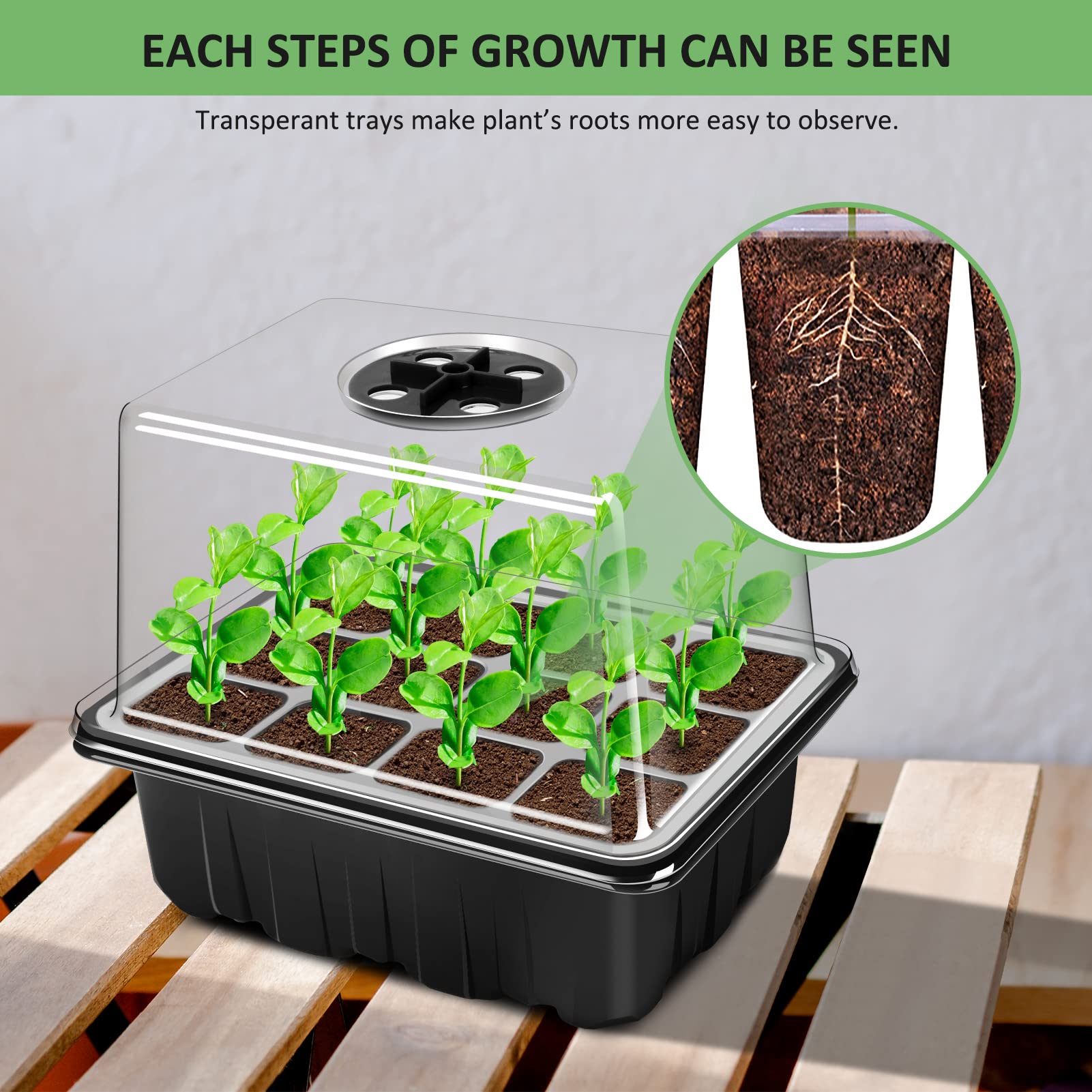 YAUNGEL bottom drainage holes promote healthy root development.