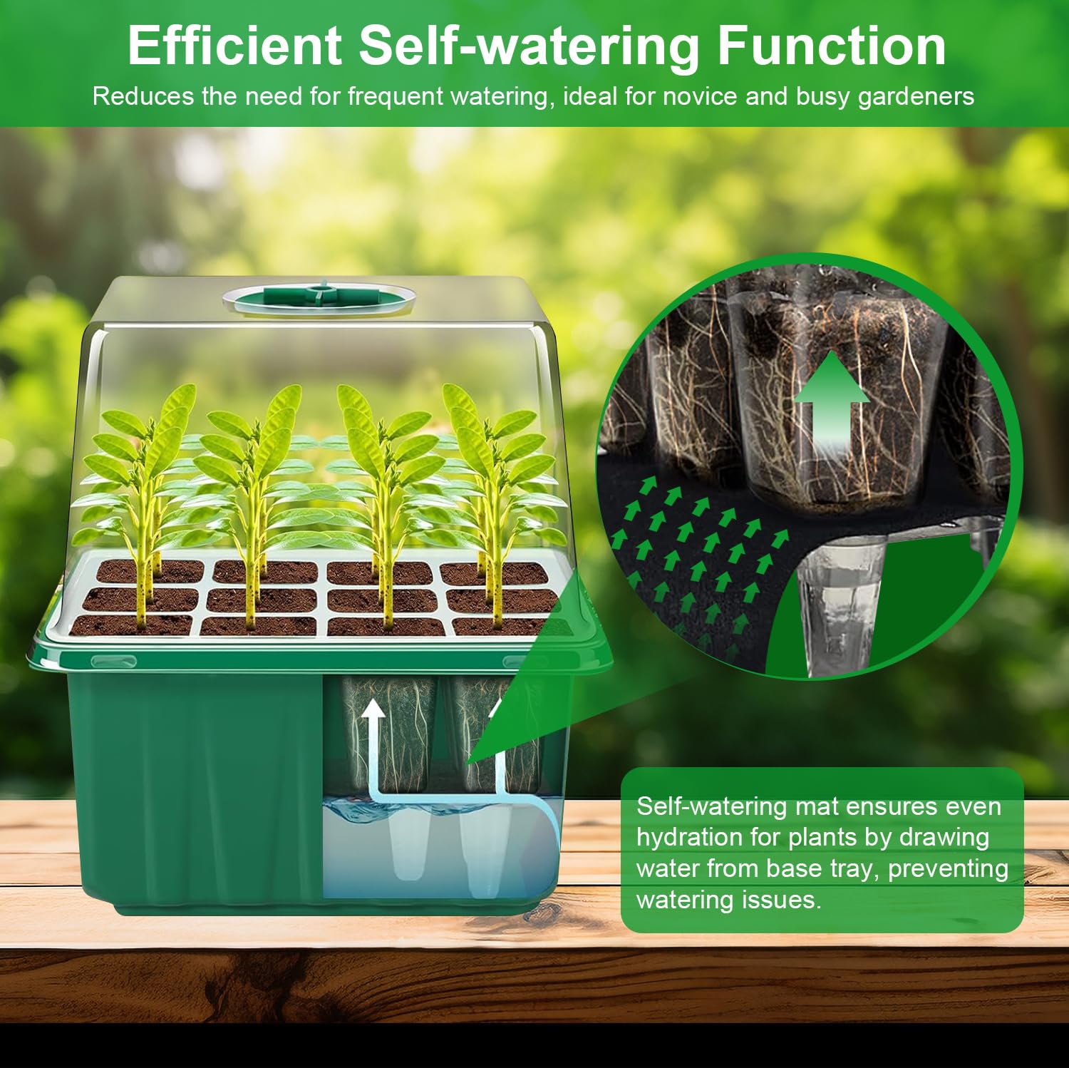 YAUNGEL grow light with timer controller for consistent, tailored illumination.