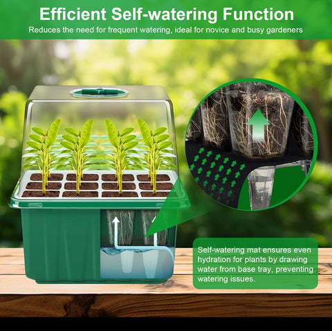 YAUNGEL grow light with timer controller for consistent, tailored illumination.
