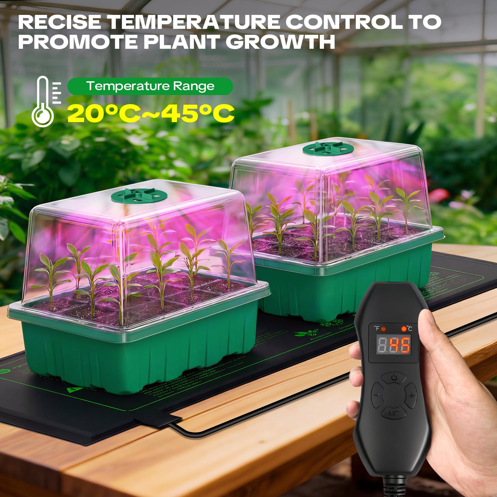 YAUNGEL heat mat with thermostat maintains stable soil warmth for germination.