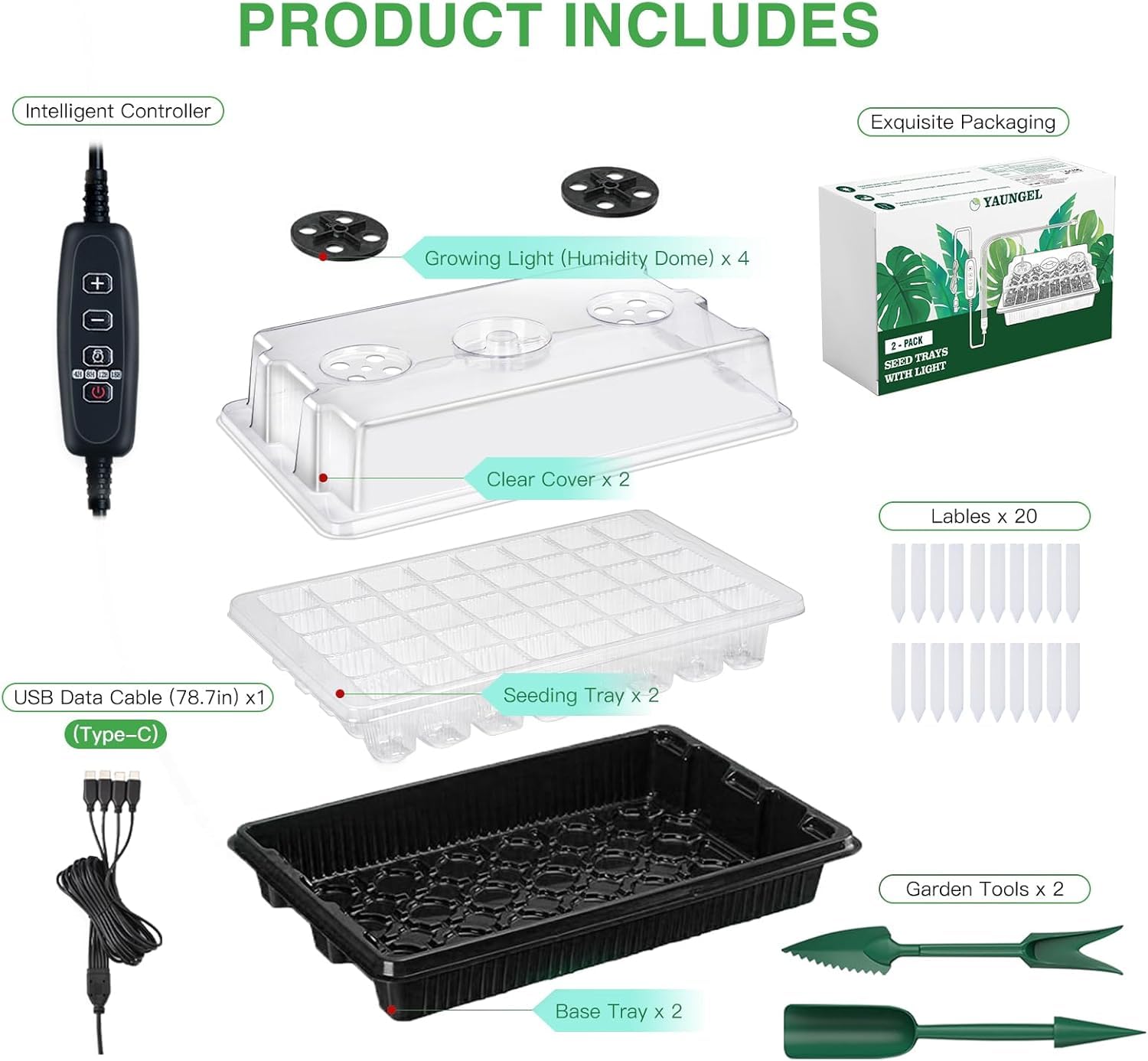YAUNGEL indoor garden seed starter setup is ideal for year-round germination.