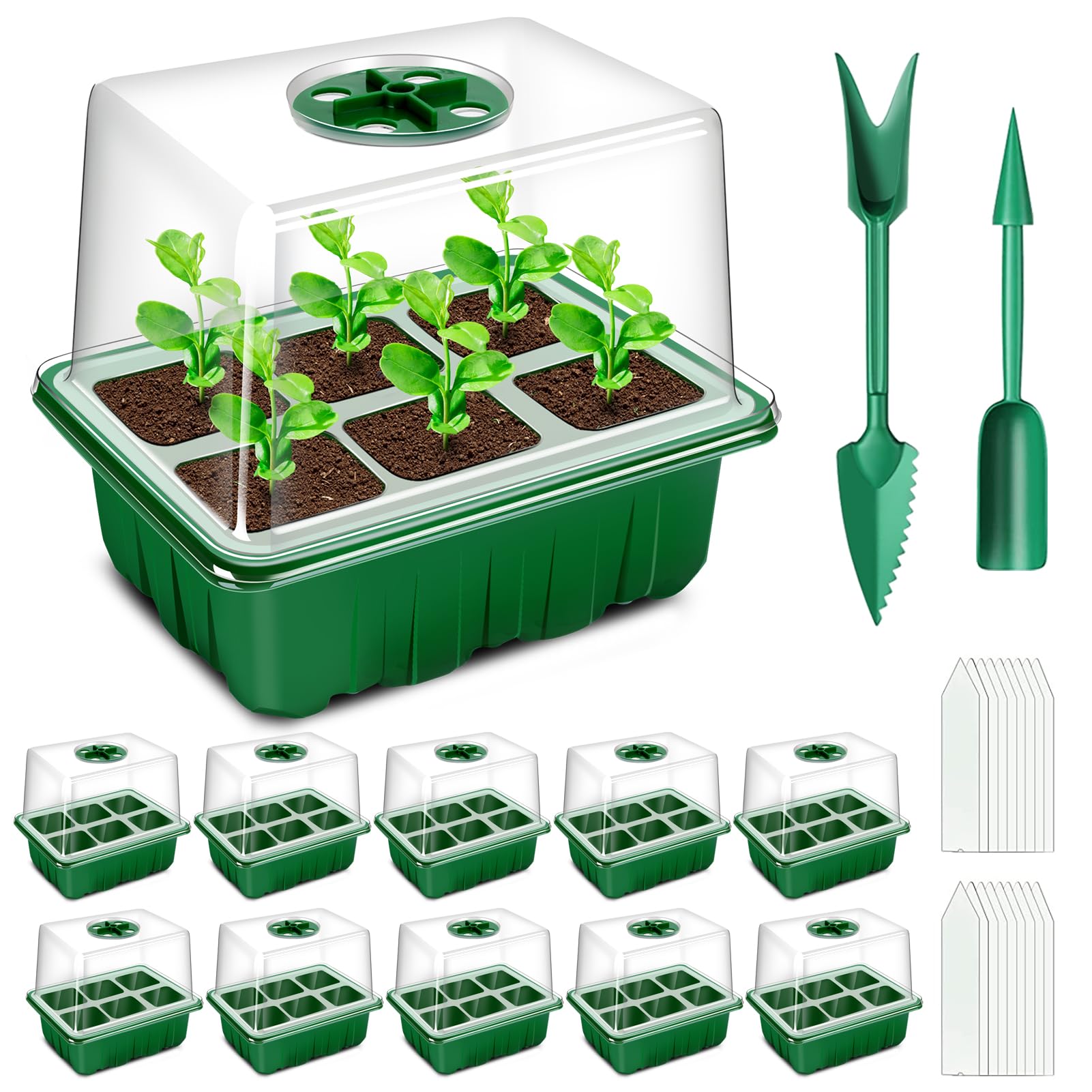 YAUNGEL seed starter tray 60-cells with lifted lid for healthy seed germination.