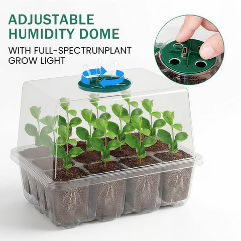 YAUNGEL seed starter tray auto timer for consistent light cycles