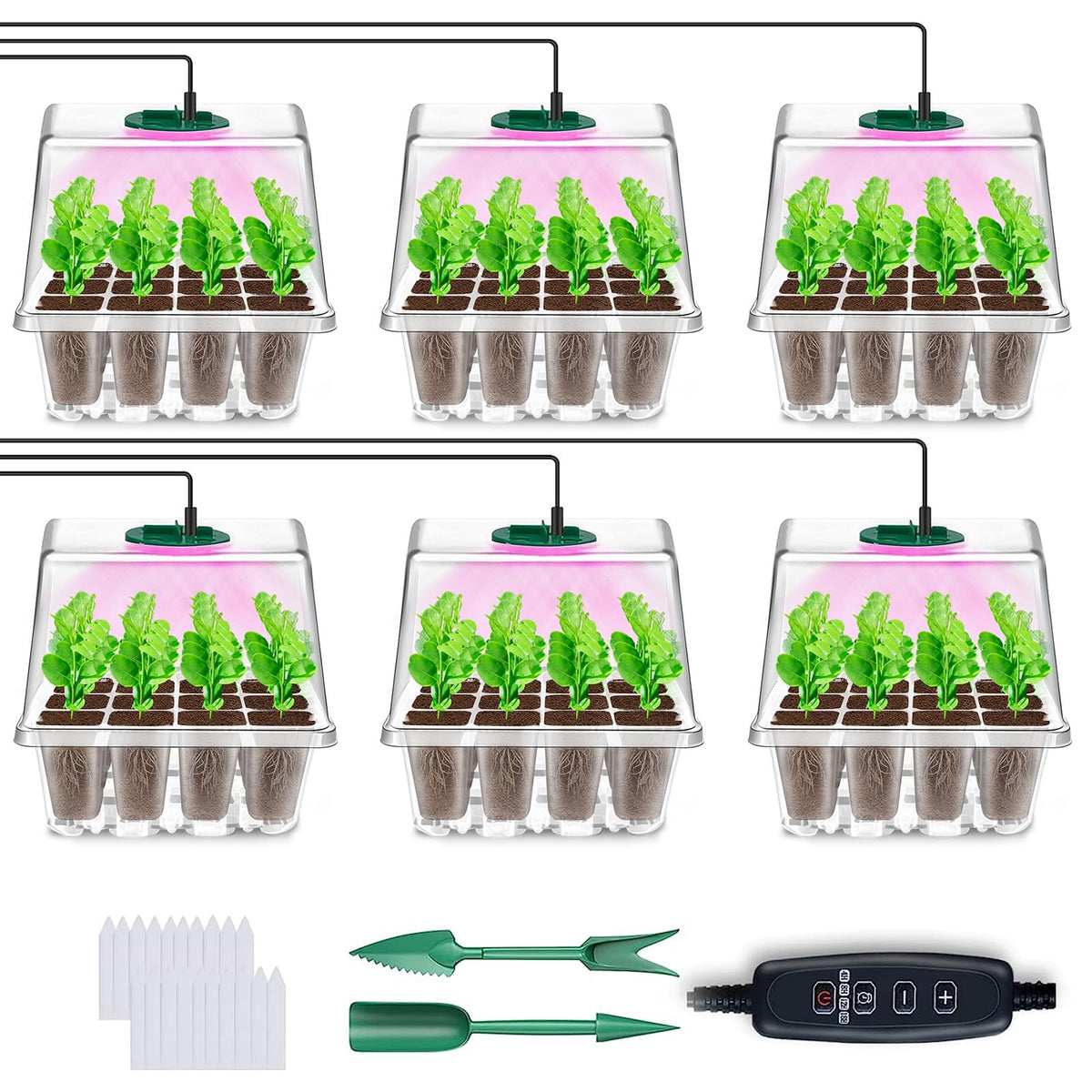 YAUNGEL seed starter tray with grow light for healthy seedling growth
