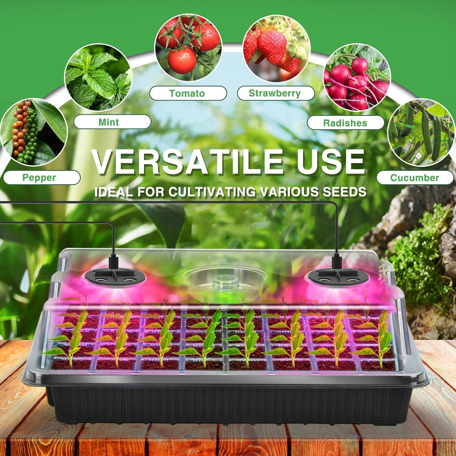YAUNGEL seed starter tray vented lid supports airflow and strong root development.