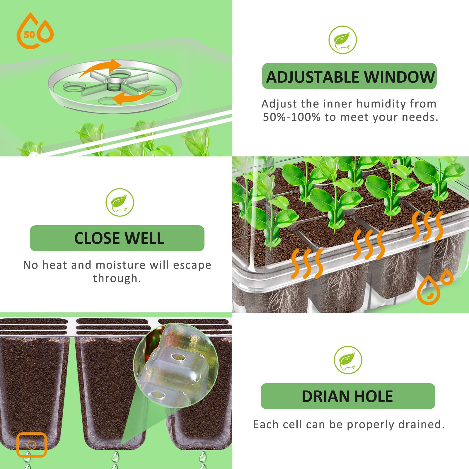YAUNGEL seed starting trays with heightened lid support taller seedlings and longer growth.