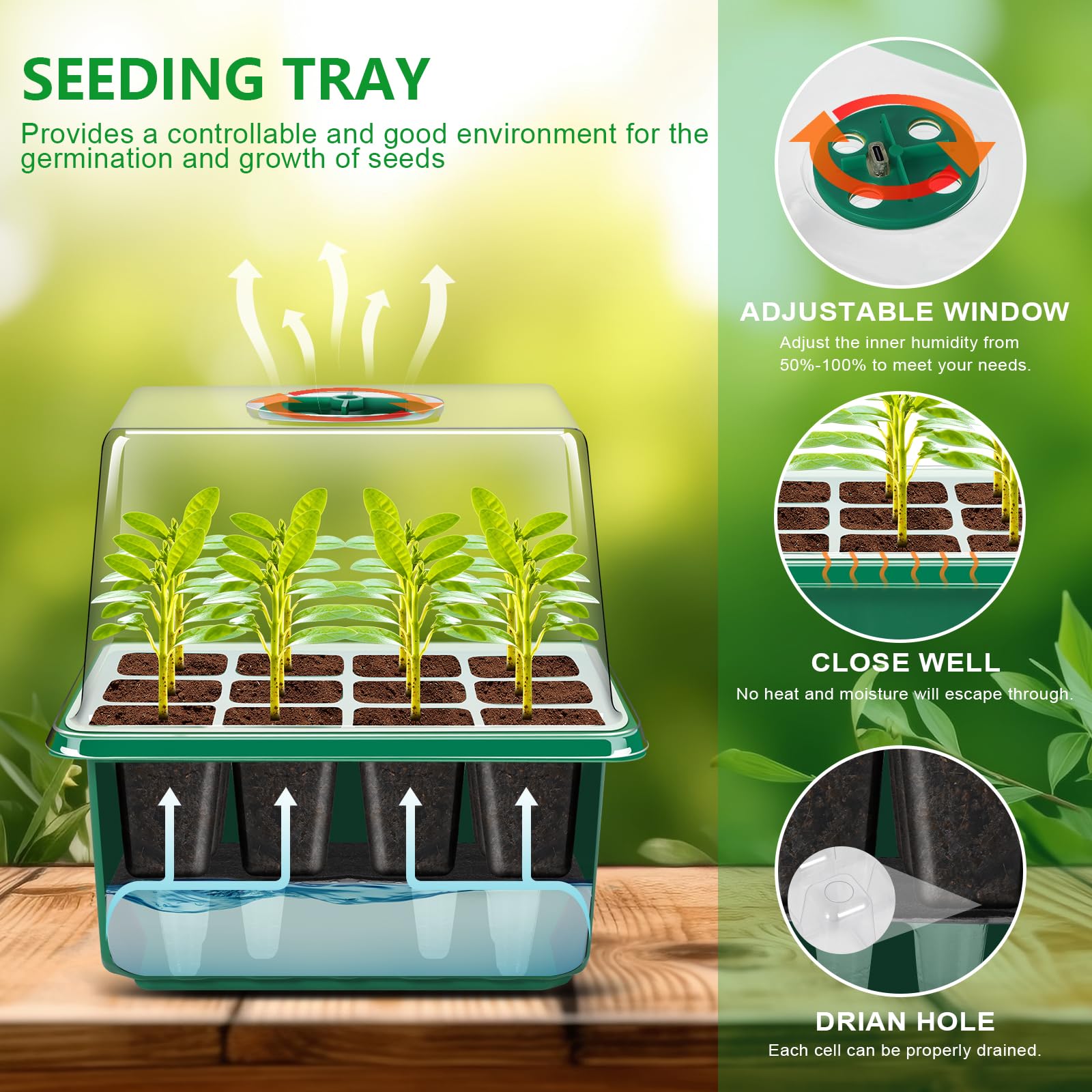 YAUNGEL seed tray with drainage holes prevents water buildup and root rot.