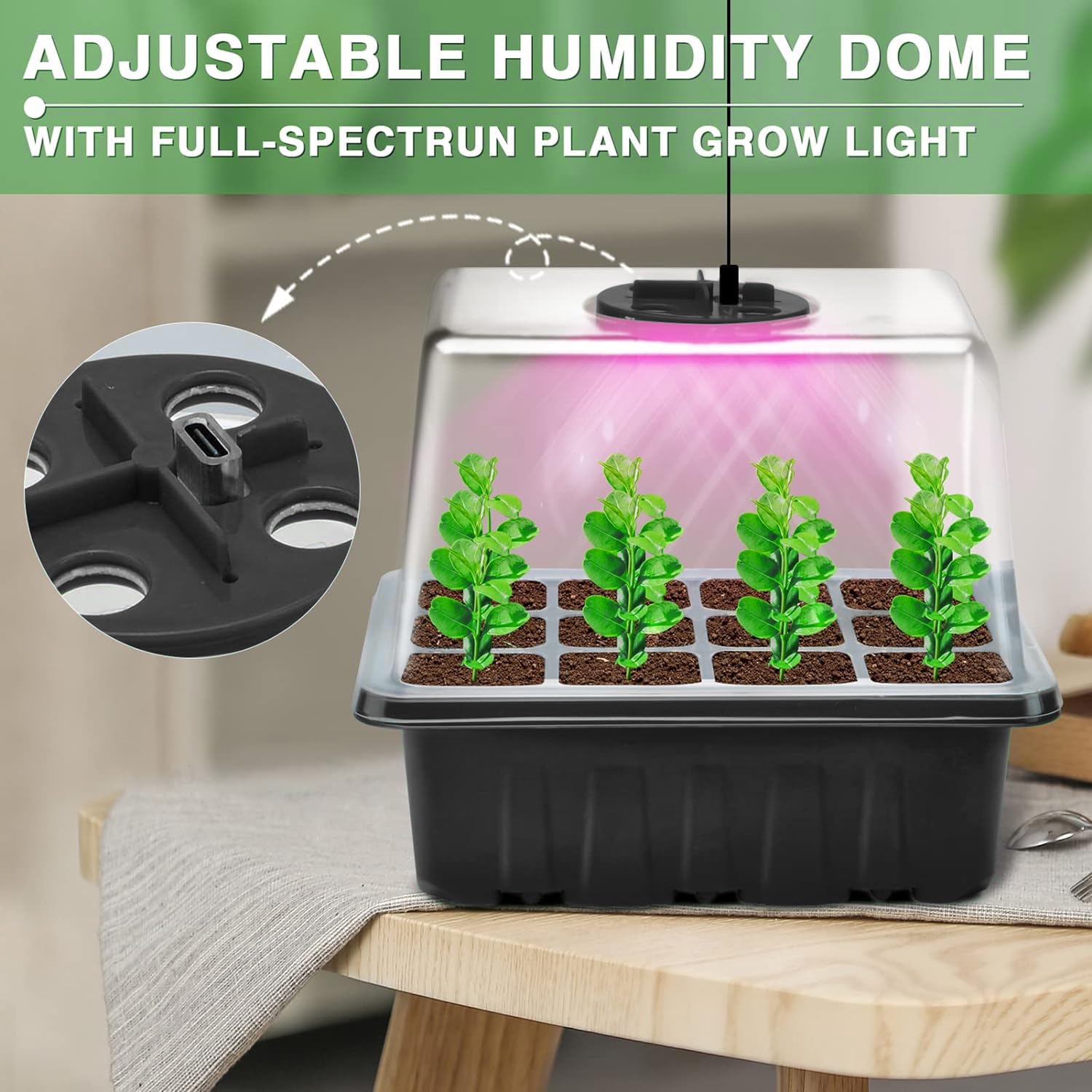 YAUNGEL seedling tray with clear cover creates a warm germination microclimate.