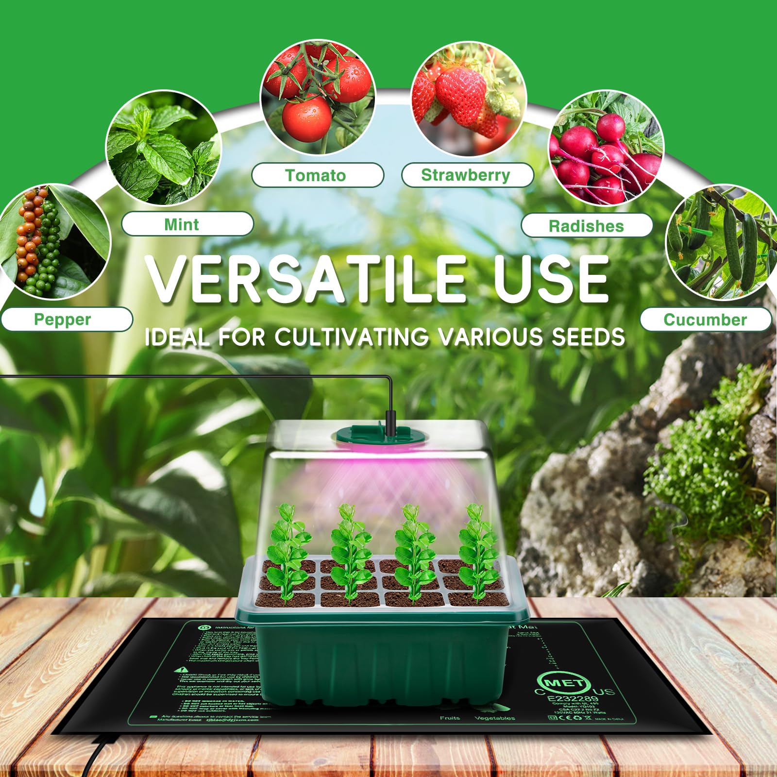 YAUNGEL seedling trays with humidity dome promote growth