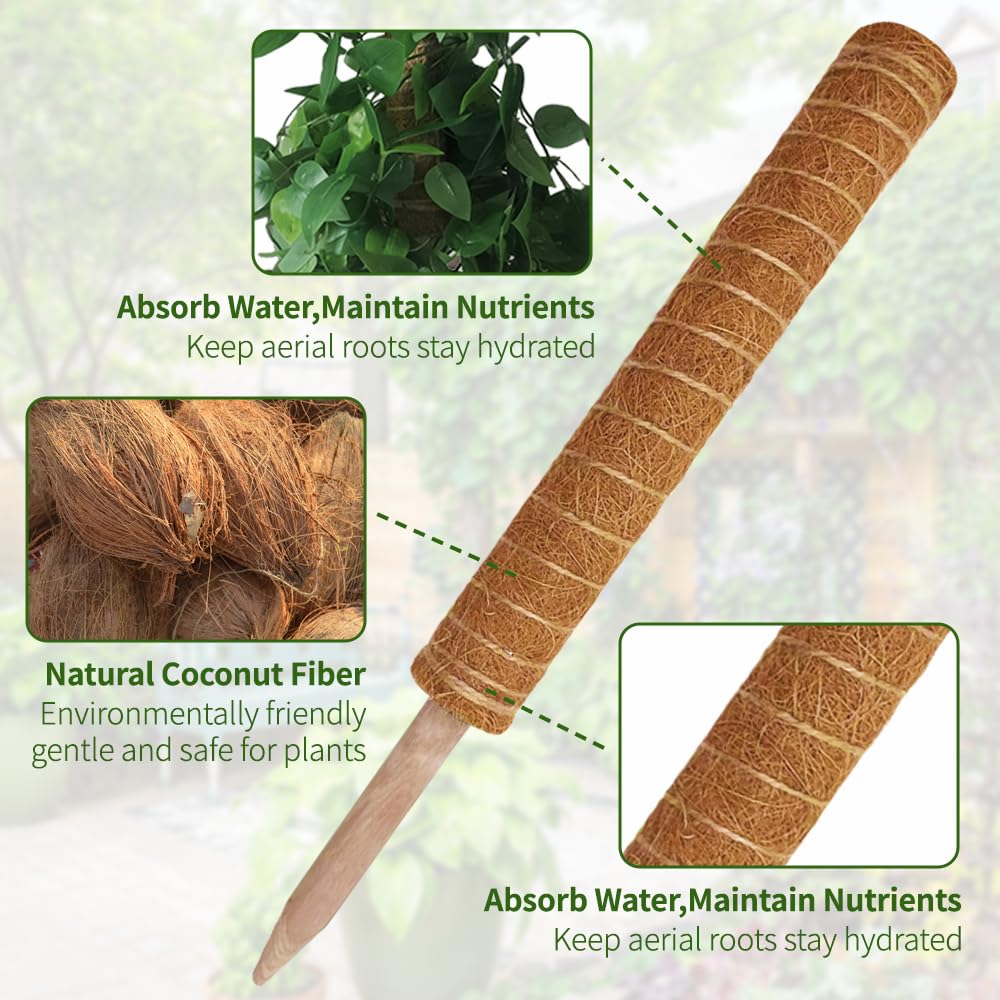 YAWAHOME Monstera moss totem supports vertical growth