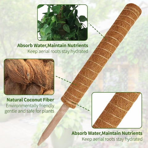YAWAHOME moss pole in use supports Monstera for lush indoor growth.