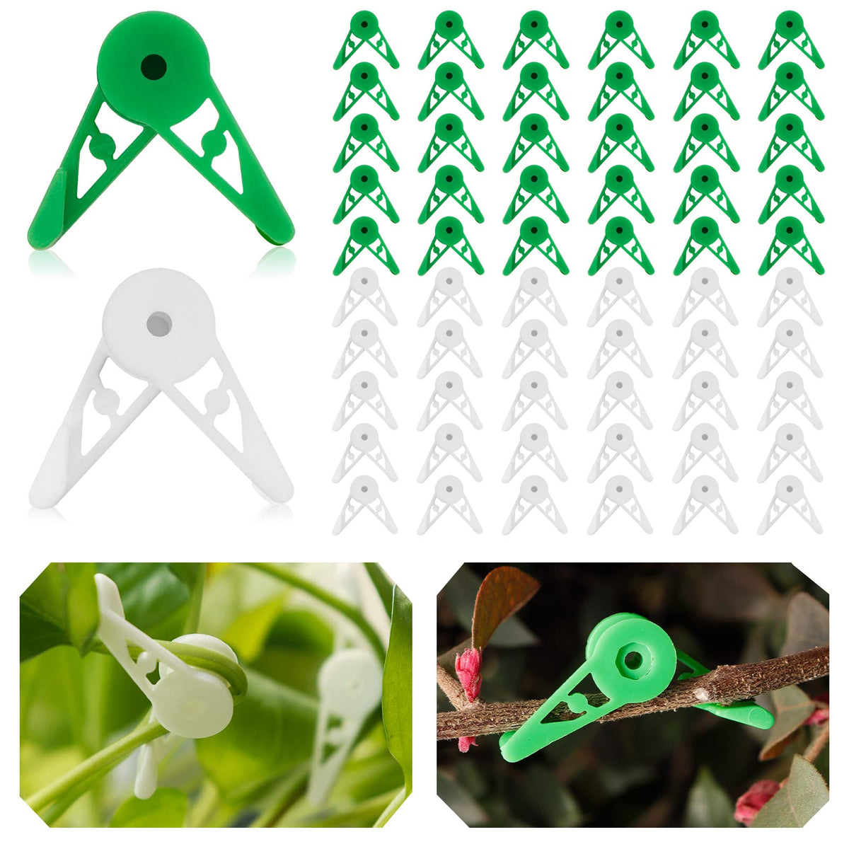YBB 360-degree plant clips in action for flexible branch training and shaping.