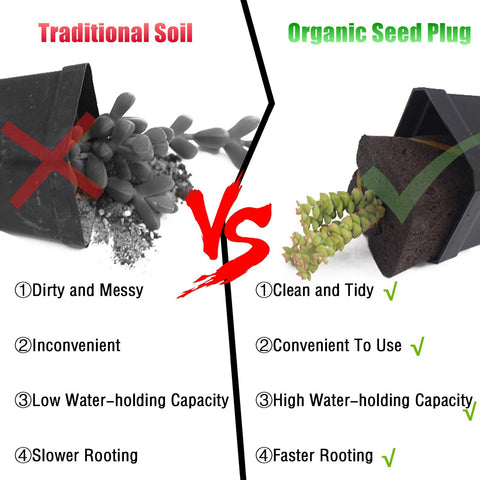 Biodegradable YBB plugs supporting robust root development in hydroponics.