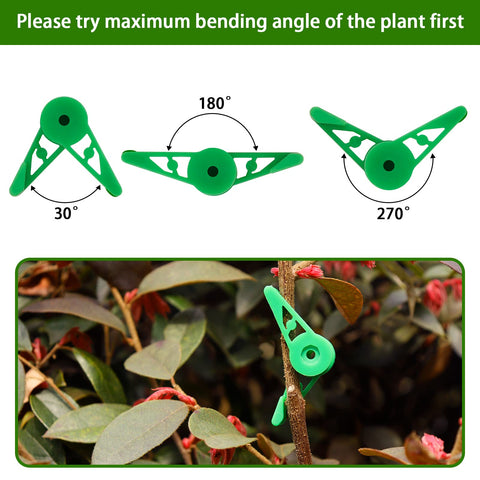 YBB clip bending demonstrates low-stress training for vines and vegetables.