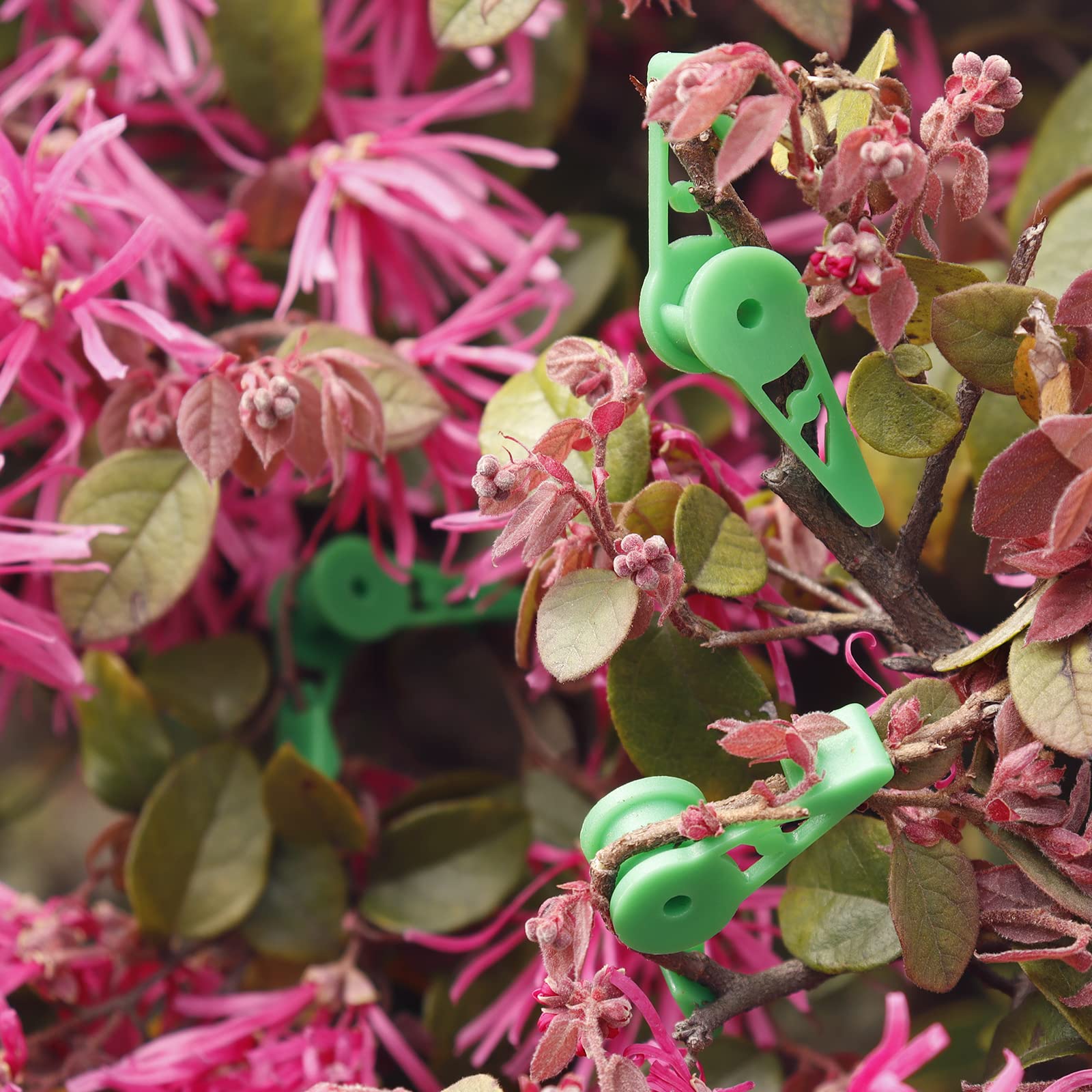 YBB durable plastic plant clips suitable for indoor and outdoor use.
